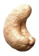 Cashew