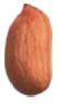 PeanutVirginia1