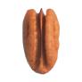 PecanMedium