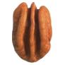 PecanXLarge